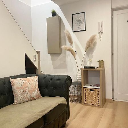 Апартаменты Le Duplex Cosy - Gare & Cite Gastronomique Дижон Экстерьер фото