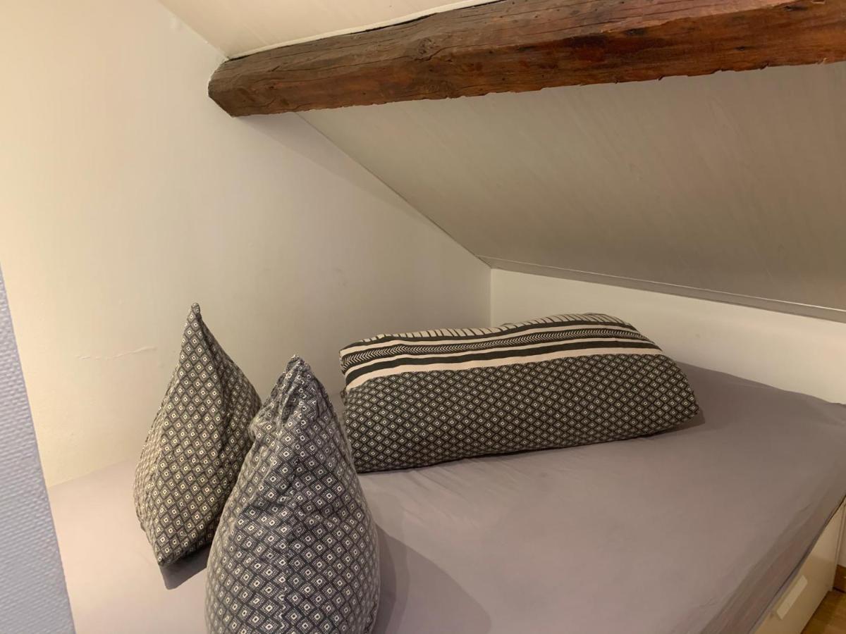 Апартаменты Le Duplex Cosy - Gare & Cite Gastronomique Дижон Экстерьер фото